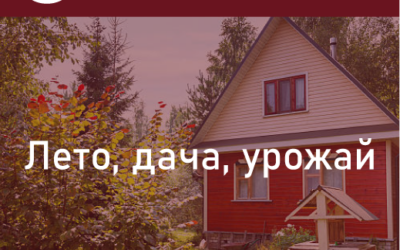 Лето, дача, урожай. Что выращенное на своей даче запрещено продавать? Рассказываем.