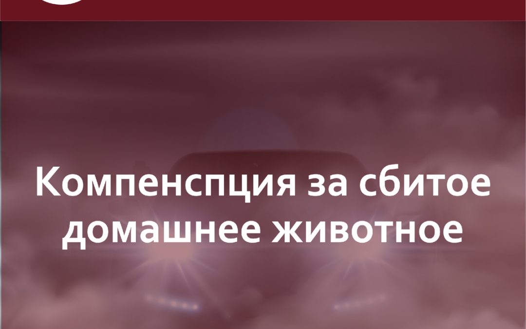 Собака - друг человека или имущество? Взыскание компенсации за сбитое домашнее животное (Верховный суд РФ)