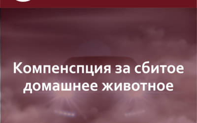 Собака — друг человека или имущество? Взыскание компенсации за сбитое домашнее животное (Верховный суд РФ)